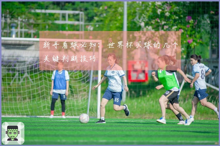 新手看球必知：世界杯买球的几个关键判断技巧