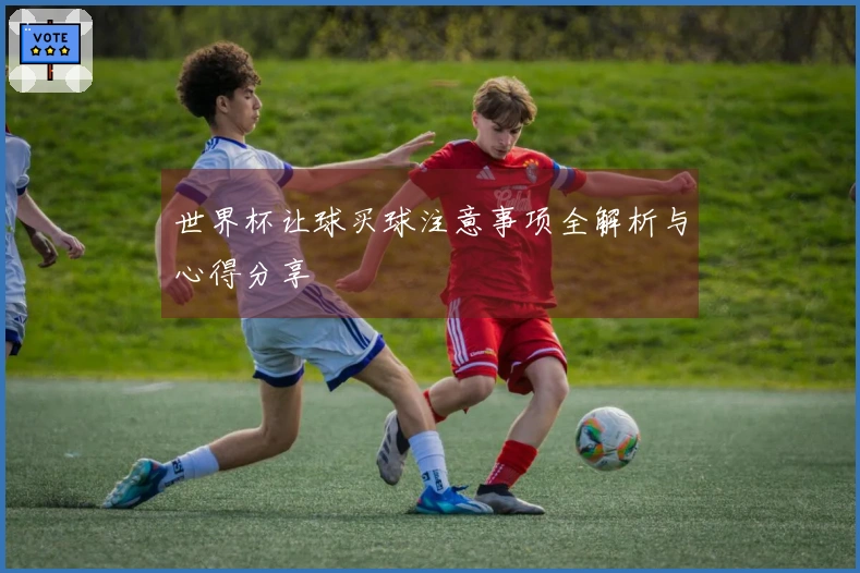 世界杯让球买球注意事项全解析与心得分享