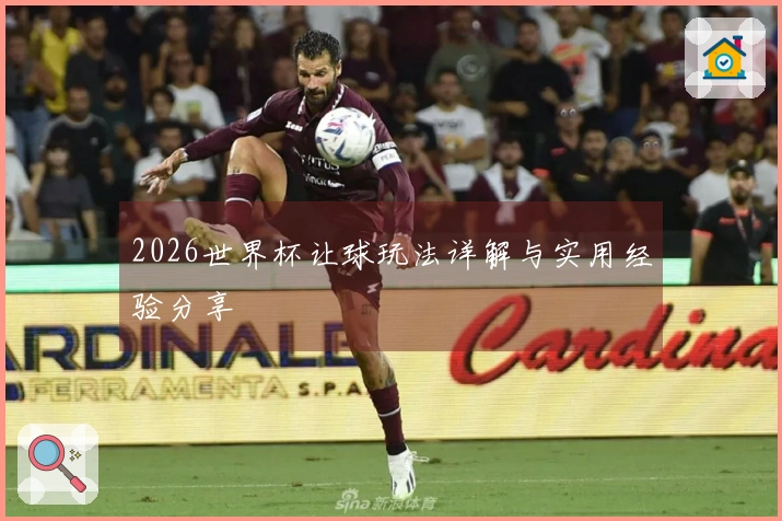 2026世界杯让球玩法详解与实用经验分享