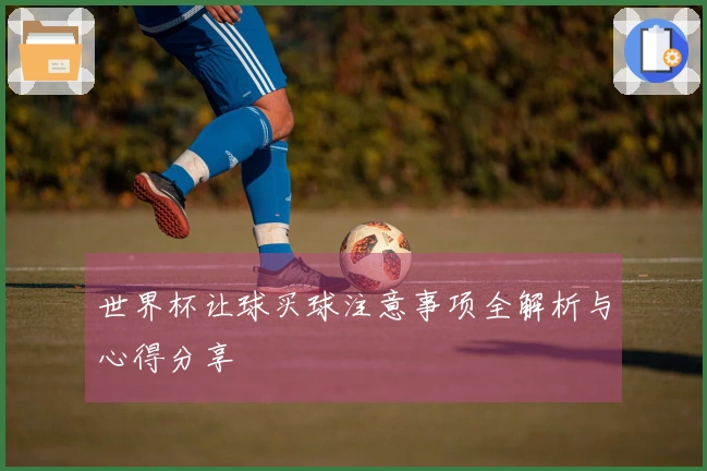 世界杯让球买球注意事项全解析与心得分享