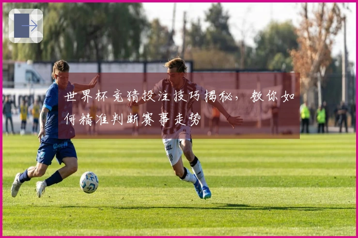 世界杯竞猜投注技巧揭秘，教你如何精准判断赛事走势
