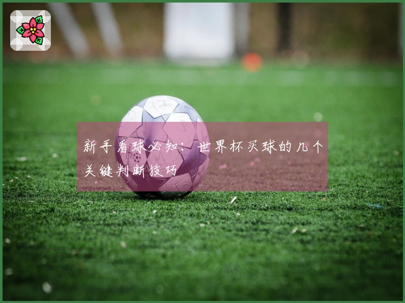 新手看球必知：世界杯买球的几个关键判断技巧