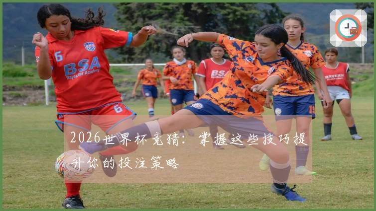 2026世界杯竞猜：掌握这些技巧提升你的投注策略