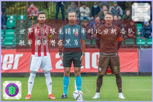 世界杯买球竞猜赔率对比分析 各队胜率揭示潜在黑马