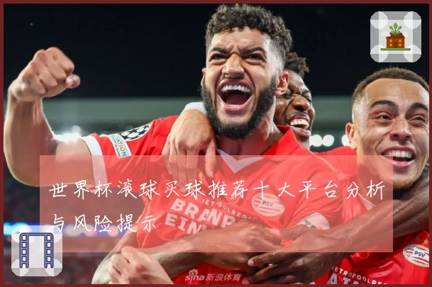 世界杯滚球买球推荐十大平台分析与风险提示